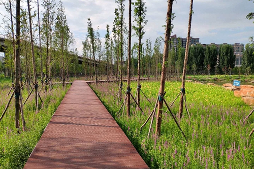 園冶杯專業(yè)獎(jiǎng):老黿塘濕地公園