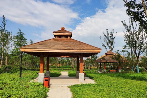 園冶杯專業(yè)獎(jiǎng):老黿塘濕地公園