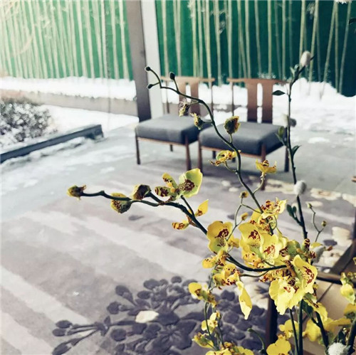 奧雅作品:園子里的揚州