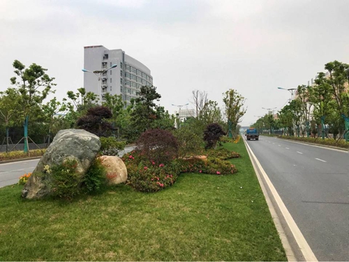 園冶杯專業(yè)獎：廬陽工業(yè)區(qū)天水路、凌湖路綠化施工