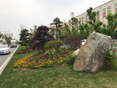 園冶杯專業(yè)獎：廬陽工業(yè)區(qū)天水路、凌湖路綠化施工