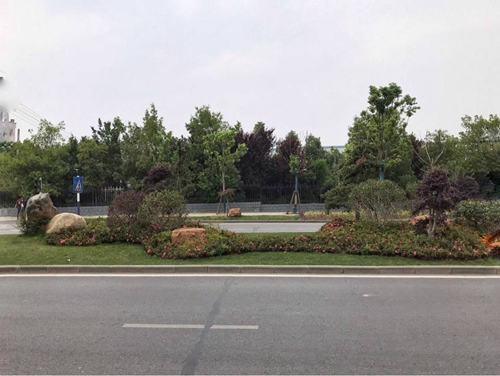 園冶杯專業(yè)獎：廬陽工業(yè)區(qū)天水路、凌湖路綠化施工