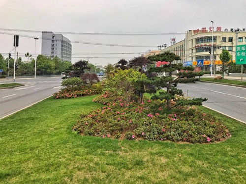 園冶杯專業(yè)獎：廬陽工業(yè)區(qū)天水路、凌湖路綠化施工