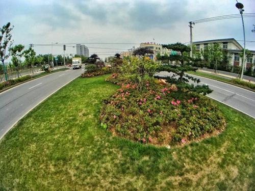 園冶杯專業(yè)獎：廬陽工業(yè)區(qū)天水路、凌湖路綠化施工