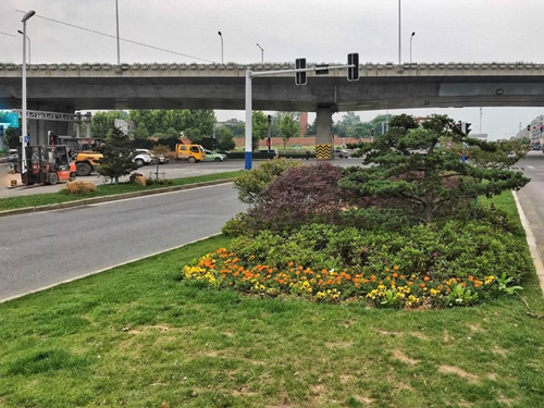 園冶杯專業(yè)獎：廬陽工業(yè)區(qū)天水路、凌湖路綠化施工