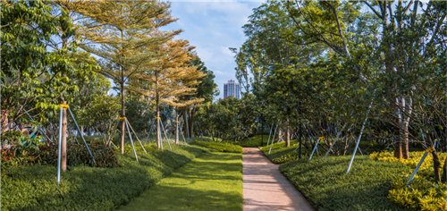 園冶杯專業(yè)獎(jiǎng):海口魯能海藍(lán)公館