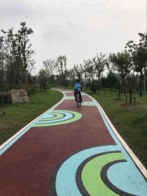 園冶杯專業獎:店忠路(新合馬路至環巢湖大道段)改建工程景觀設計