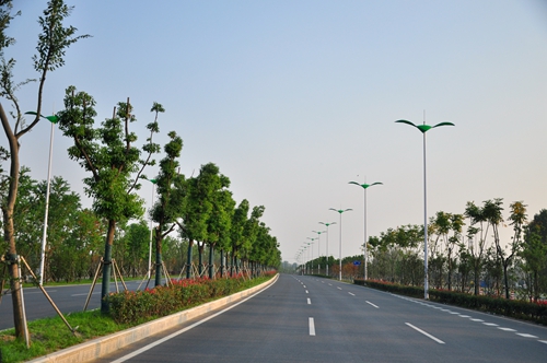 園冶杯專業獎：店忠路（新合馬路至環巢湖大道段）改建工程景觀設計