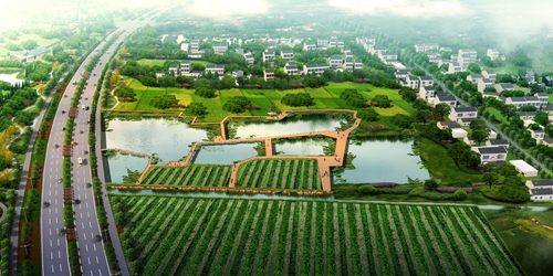 園冶杯專業獎:店忠路(新合馬路至環巢湖大道段)改建工程景觀設計