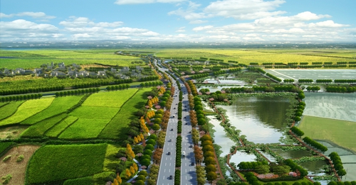 園冶杯專業獎:店忠路(新合馬路至環巢湖大道段)改建工程景觀設計