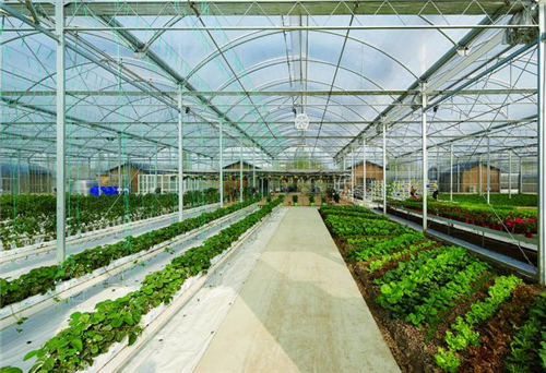 農(nóng)業(yè)主題景觀設(shè)計:桐鄉(xiāng)合悅百翠莊園