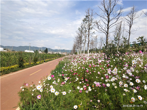 園冶杯專業(yè)獎:云南昭通大山包綠道工程項目