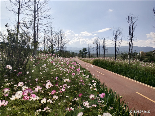 園冶杯專業(yè)獎:云南昭通大山包綠道工程項目