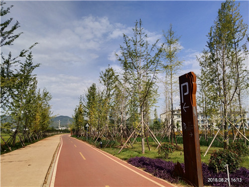 園冶杯專業(yè)獎:云南昭通大山包綠道工程項目