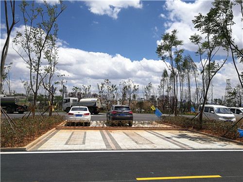 園冶杯專業(yè)獎:云南昭通大山包綠道工程項目