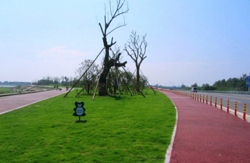 園冶杯專業(yè)獎:環(huán)巢湖旅游大道