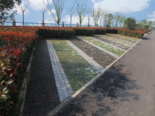 園冶杯專業(yè)獎:環(huán)巢湖旅游大道