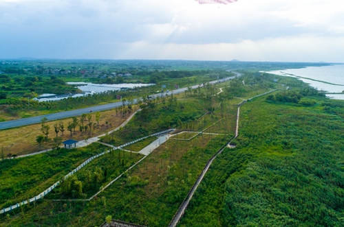 園冶杯專業(yè)獎:環(huán)巢湖旅游大道