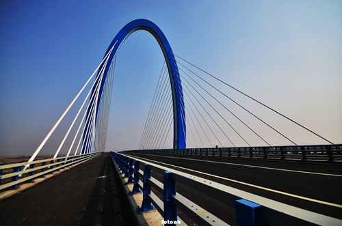 園冶杯專業(yè)獎:環(huán)巢湖旅游大道