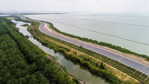 園冶杯專業(yè)獎:環(huán)巢湖旅游大道