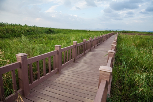 園冶杯專業(yè)獎:環(huán)巢湖旅游大道