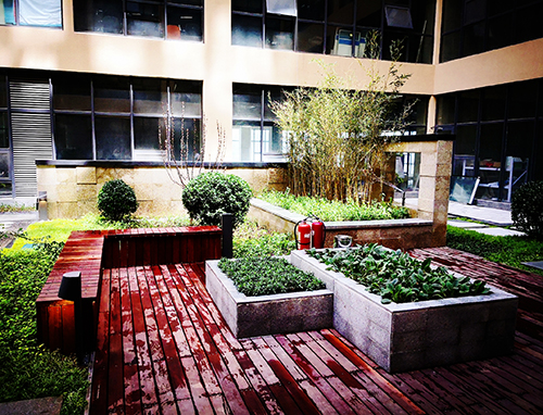 園冶杯專業獎:新華國際廣場天井園林景觀