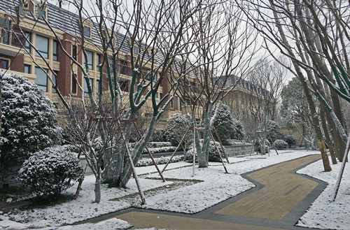 園冶杯專業獎:長發都市.諸公