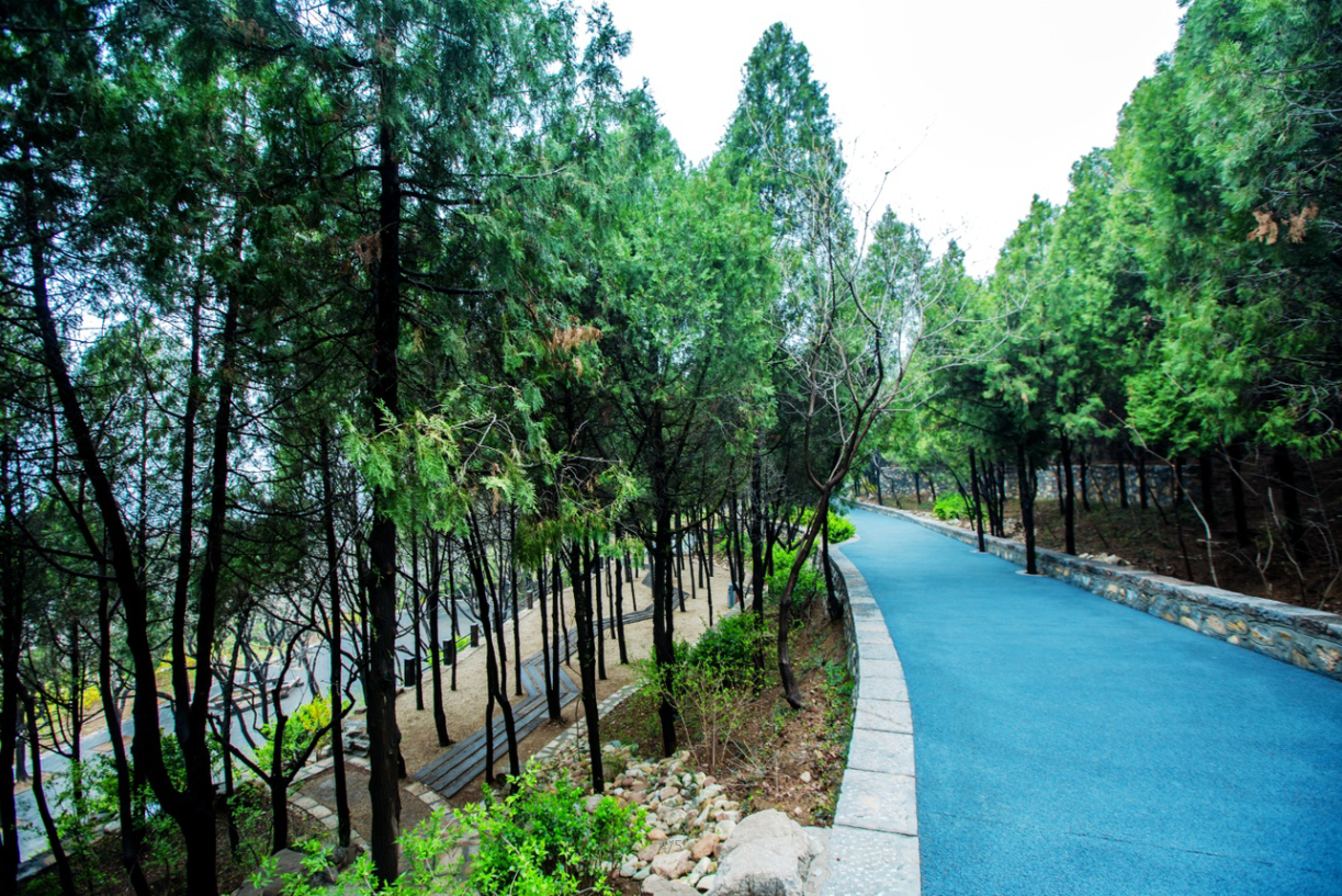 園冶杯專業獎:金雞嶺景區建設項目設計