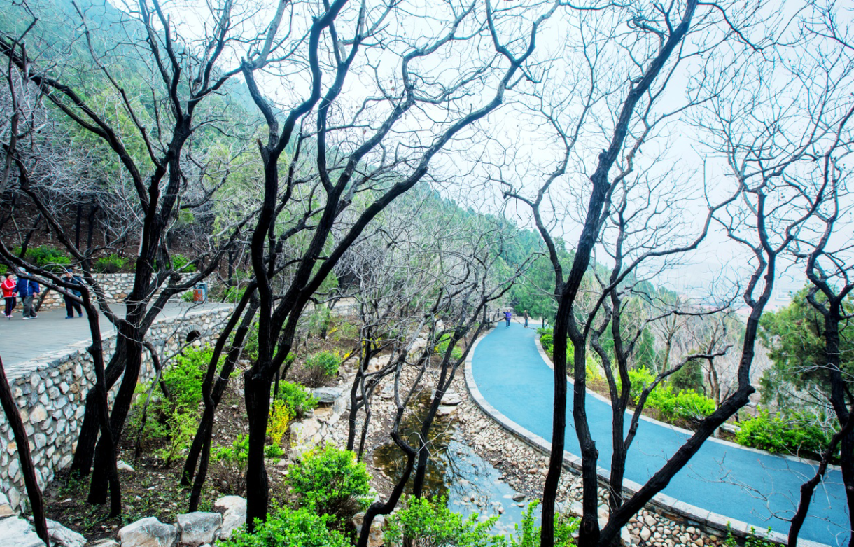 園冶杯專業獎:金雞嶺景區建設項目設計