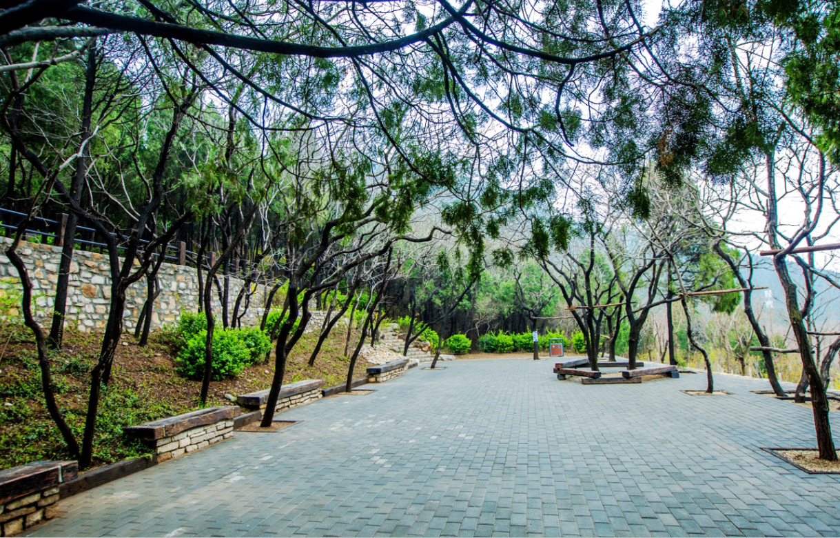 園冶杯專業獎:金雞嶺景區建設項目設計