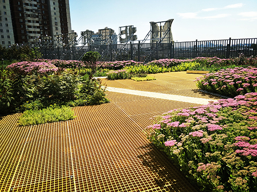 園冶杯專業獎:工業大學附中低碳屋頂花園