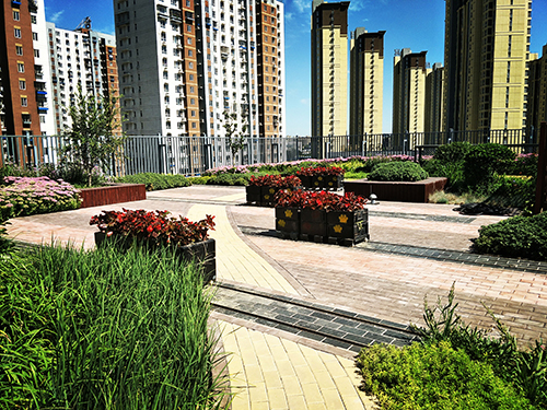 園冶杯專業獎:工業大學附中低碳屋頂花園