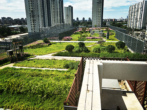 園冶杯專業獎:工業大學附中低碳屋頂花園