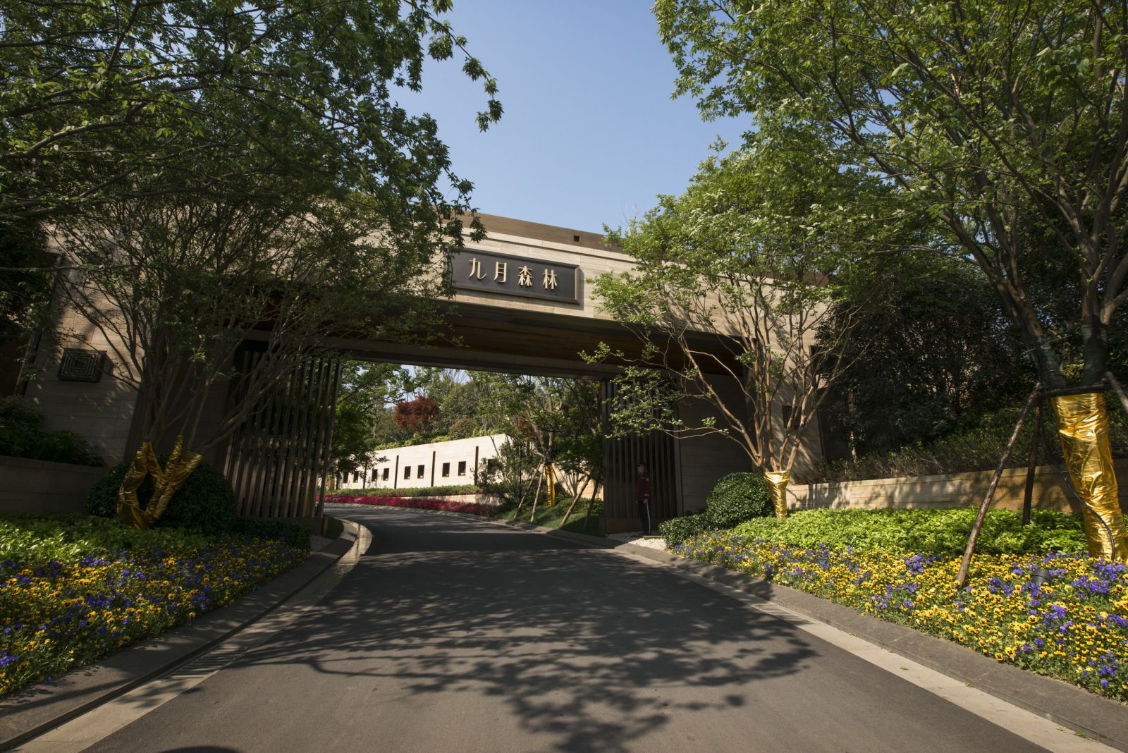 園冶杯專業(yè)獎:金基·九月森林