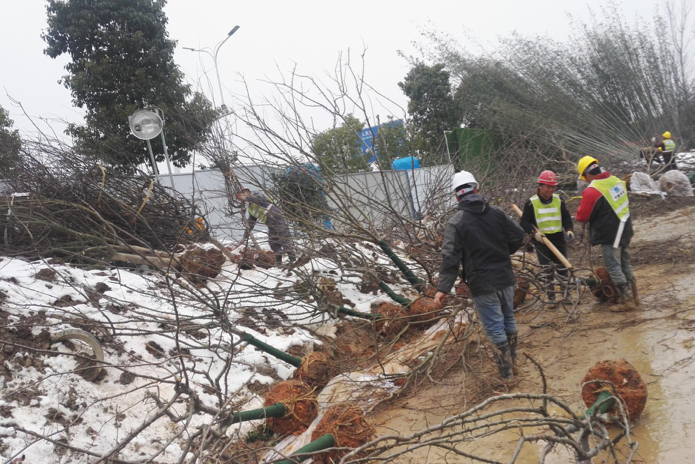 園冶杯專業獎:常德桃花源芙蓉公園景觀工程