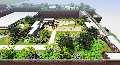 園冶杯專業(yè)獎(jiǎng):景山學(xué)校分校低碳屋頂花園