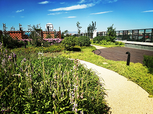 園冶杯專業(yè)獎(jiǎng):景山學(xué)校分校低碳屋頂花園