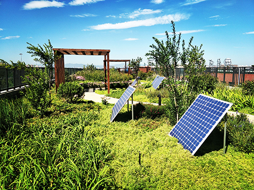 園冶杯專業(yè)獎(jiǎng):景山學(xué)校分校低碳屋頂花園