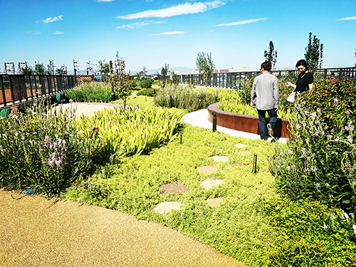 園冶杯專業(yè)獎(jiǎng):景山學(xué)校分校低碳屋頂花園