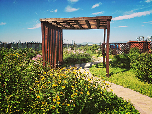 園冶杯專業(yè)獎(jiǎng):景山學(xué)校分校低碳屋頂花園