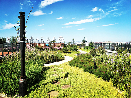 園冶杯專業(yè)獎(jiǎng):景山學(xué)校分校低碳屋頂花園