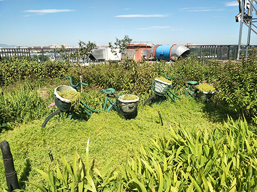 園冶杯專業(yè)獎(jiǎng):景山學(xué)校分校低碳屋頂花園