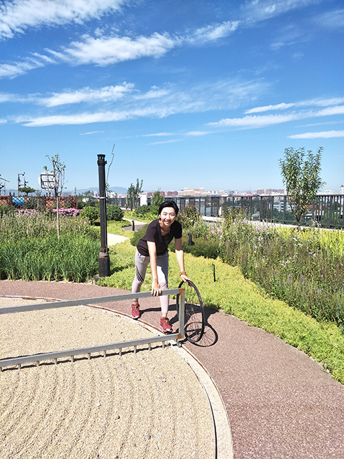 園冶杯專業(yè)獎(jiǎng):景山學(xué)校分校低碳屋頂花園