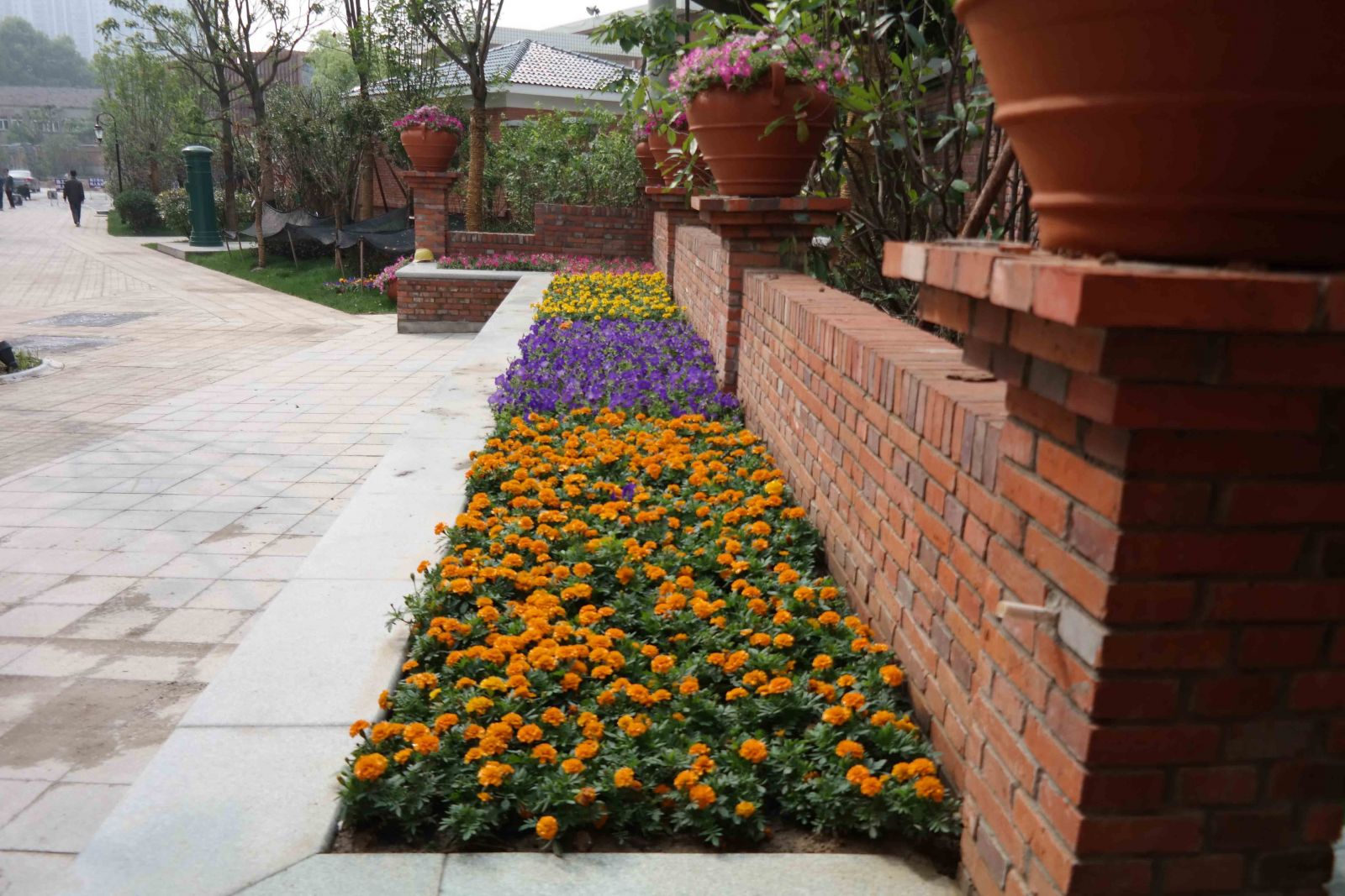 園冶杯專業獎:銀屏街景觀綠化提升工程