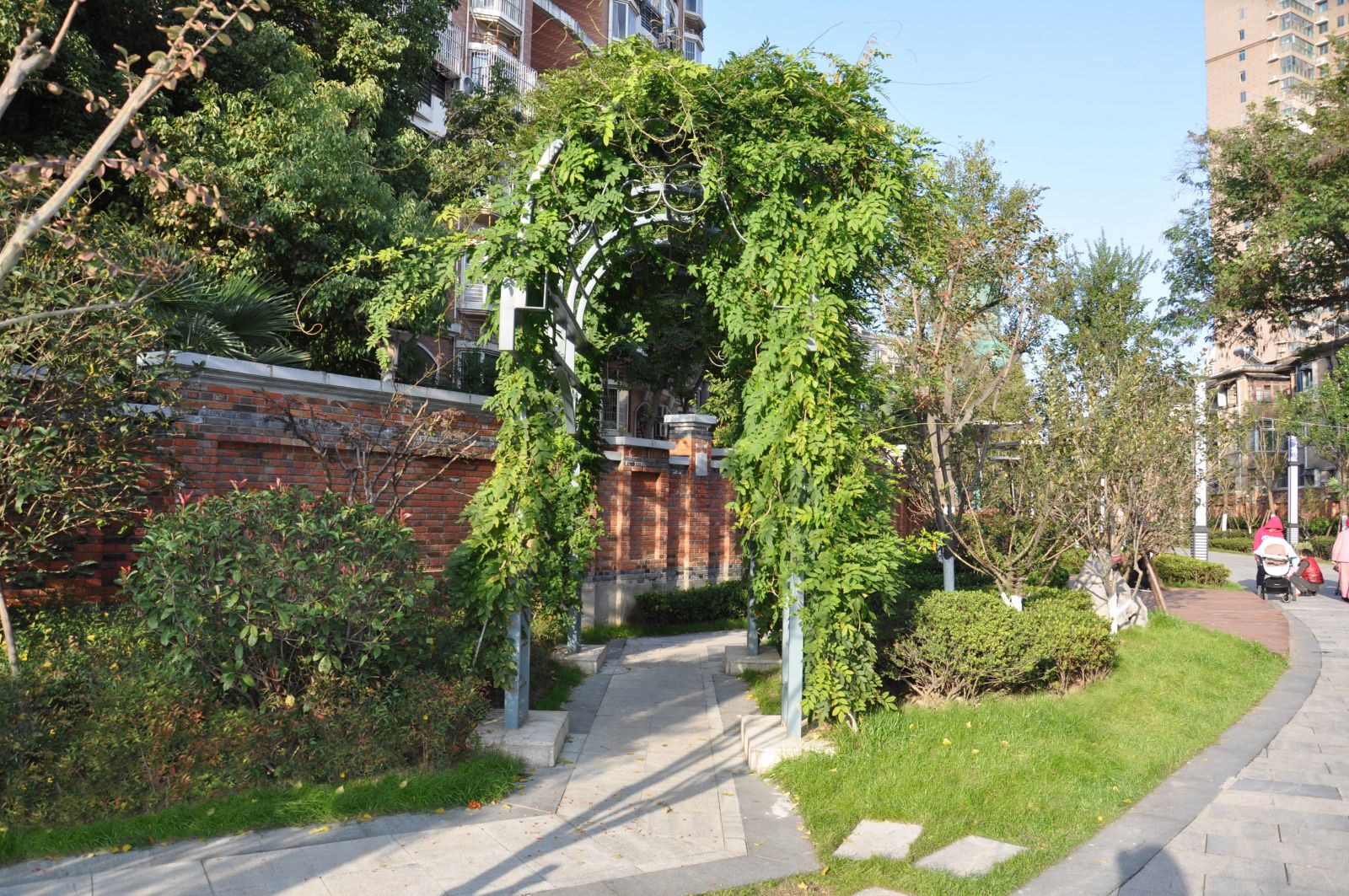 園冶杯專業獎:銀屏街景觀綠化提升工程