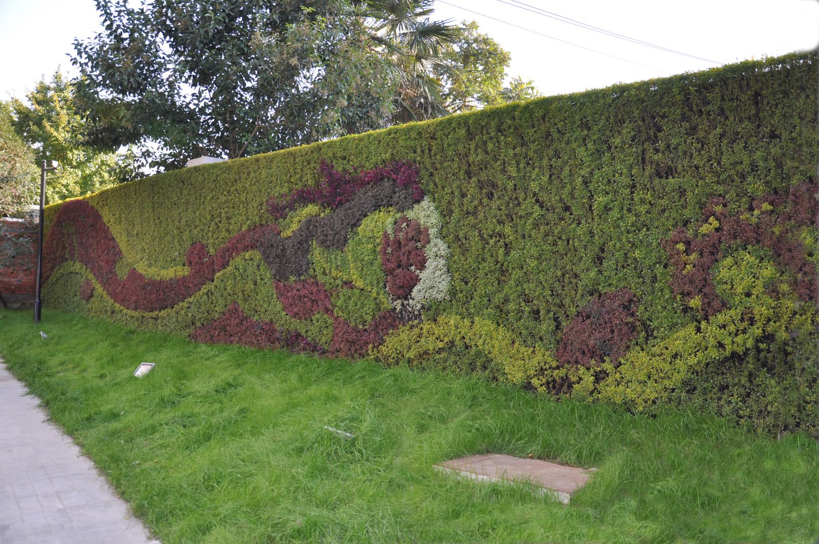 園冶杯專業獎:銀屏街景觀綠化提升工程