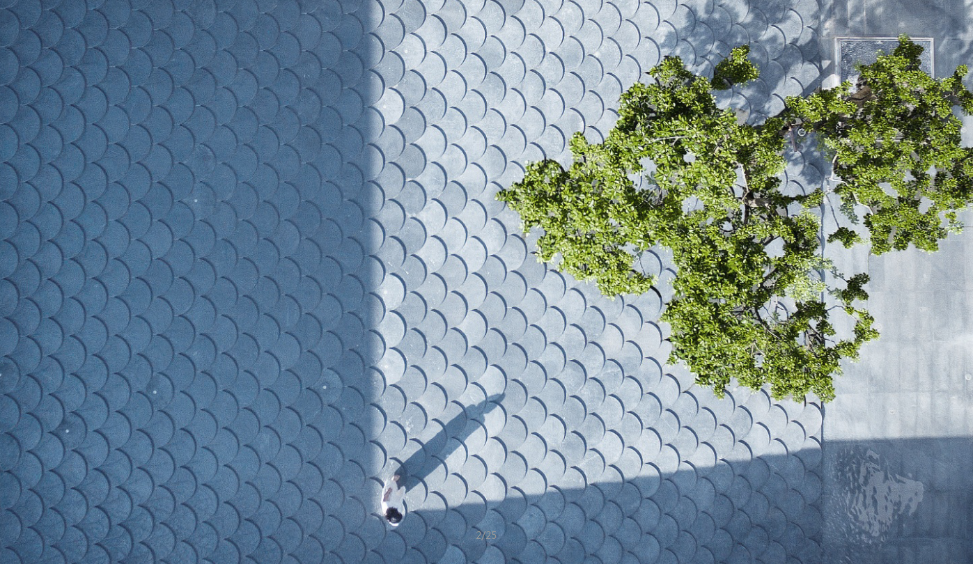 園冶杯專(zhuān)業(yè)獎(jiǎng):廣州龍湖云峰原著