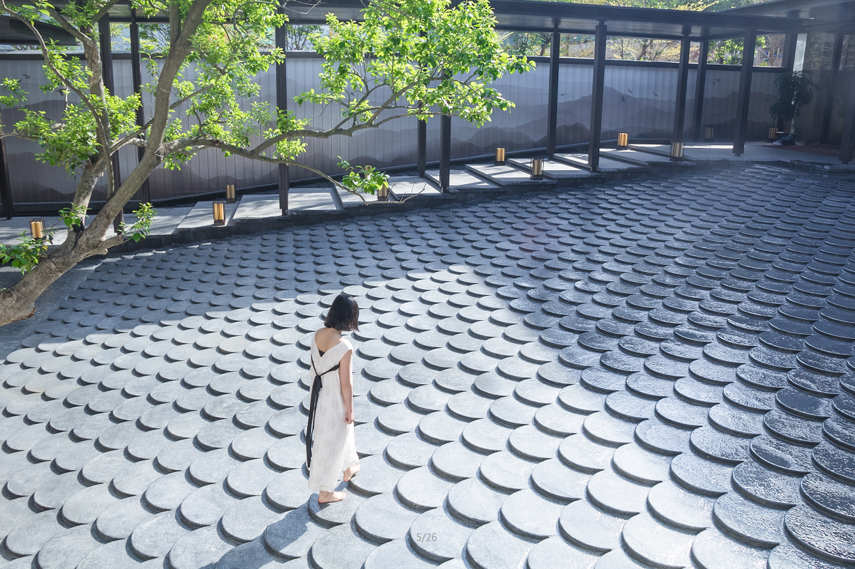 園冶杯專(zhuān)業(yè)獎(jiǎng):廣州龍湖云峰原著