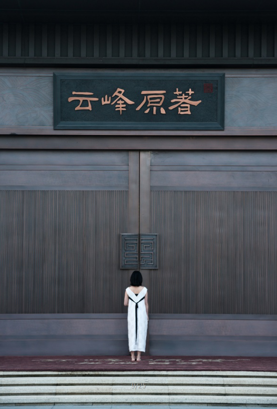 園冶杯專(zhuān)業(yè)獎(jiǎng):廣州龍湖云峰原著