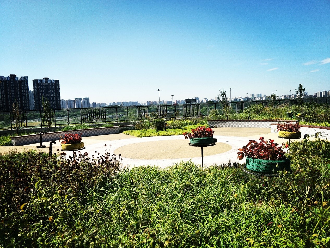 園冶杯專業(yè)獎(jiǎng):景山學(xué)校分校低碳屋頂花園